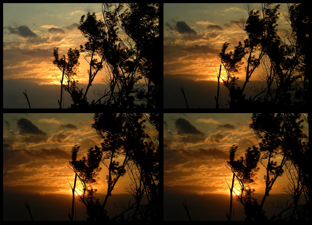 (22) dawns arrival montage (day 3).jpg   (1000x720)   338 Kb                                    Click to display next picture
